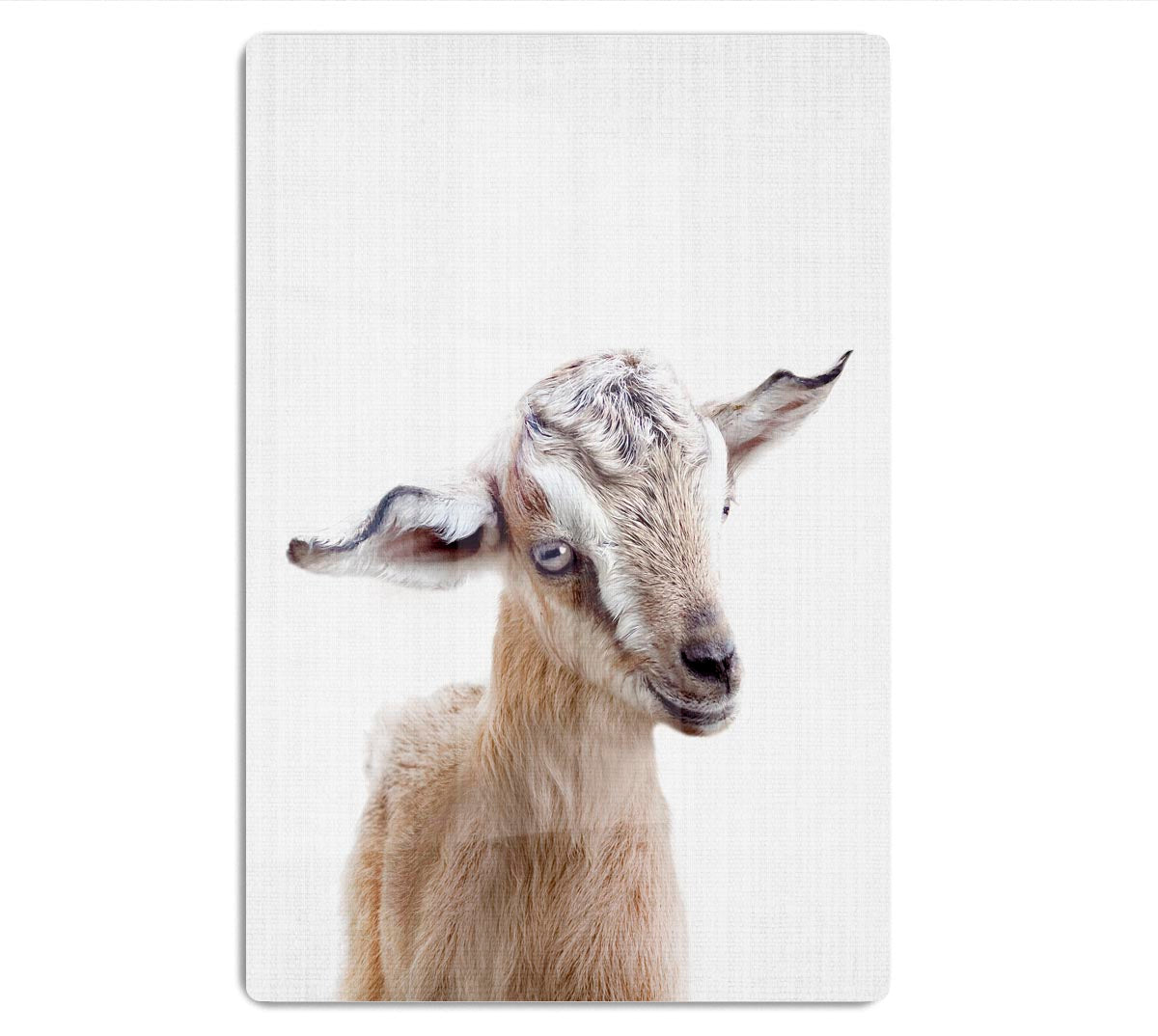 Peekaboo Baby Goat Acrylic Block - 1x - 1