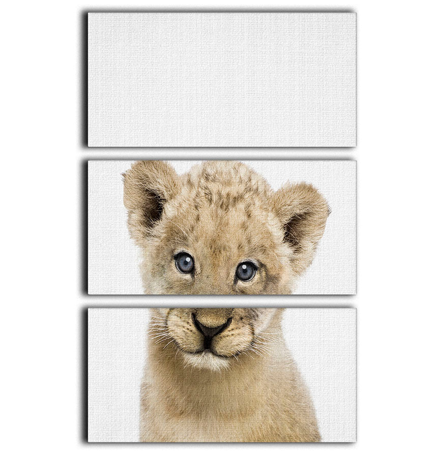 Peekaboo Baby Lion 3 Split Panel Canvas Print - 1x - 1