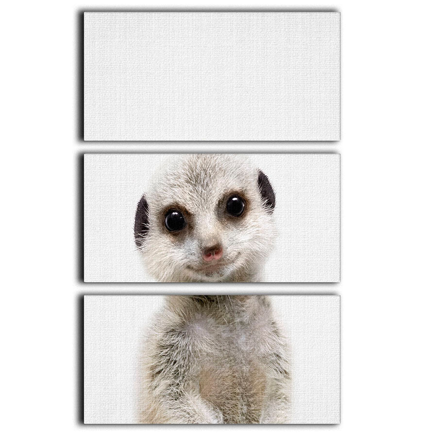 Peekaboo Baby Meerkat 3 Split Panel Canvas Print - 1x - 1