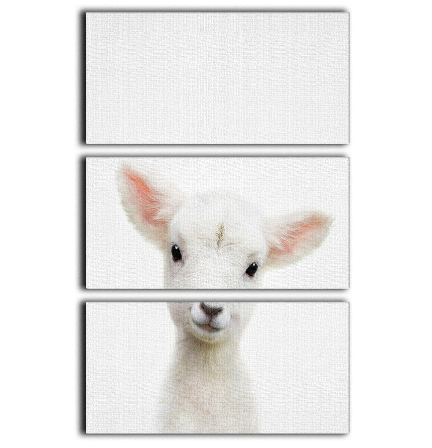 Peekaboo Baby Sheep 3 Split Panel Canvas Print - 1x - 1