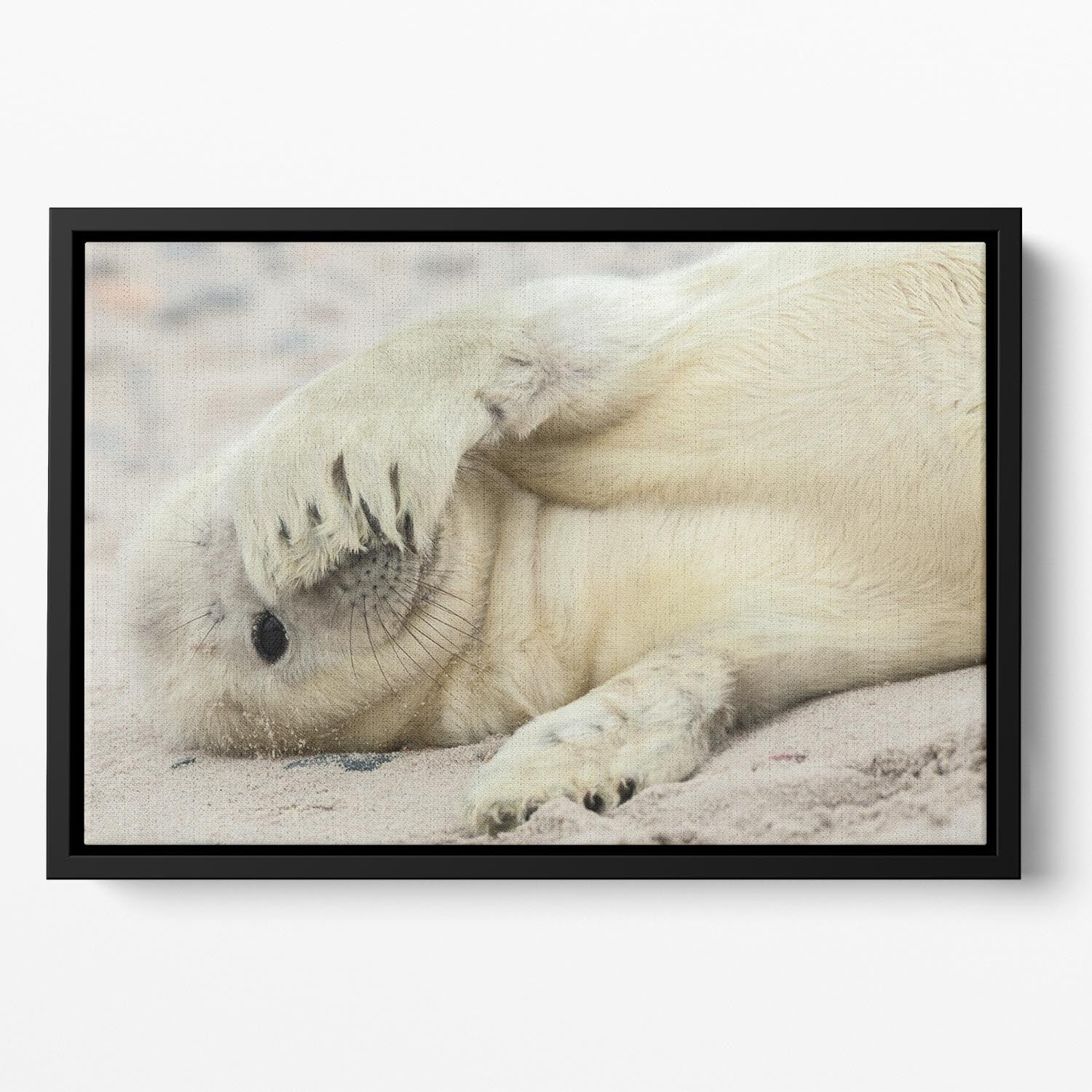 Peekaboo Floating Framed Canvas - 1x - 2