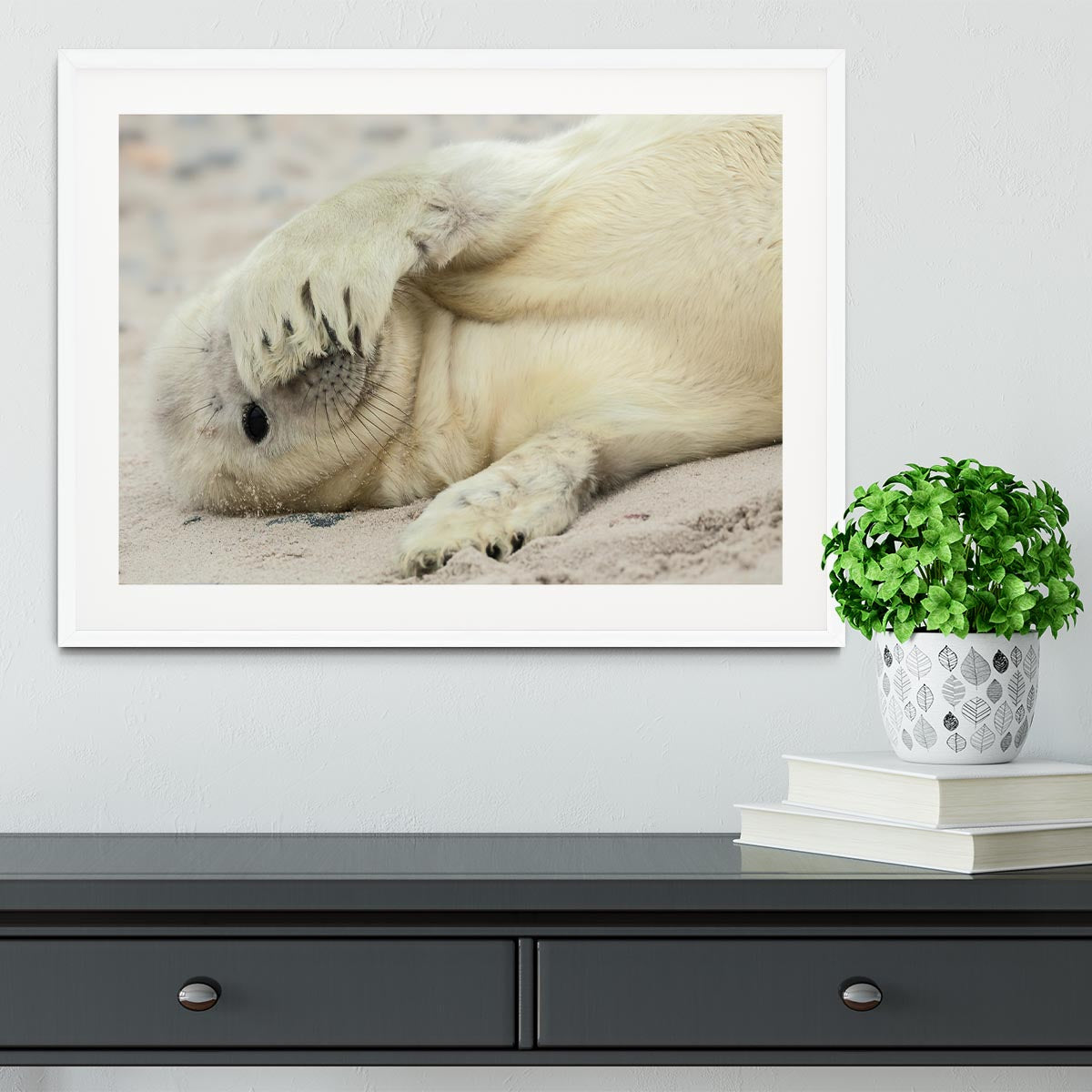 Peekaboo Framed Print - 1x - 5