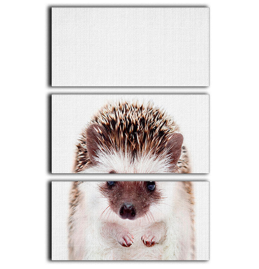 Peekaboo Hedgehog 3 Split Panel Canvas Print - 1x - 1