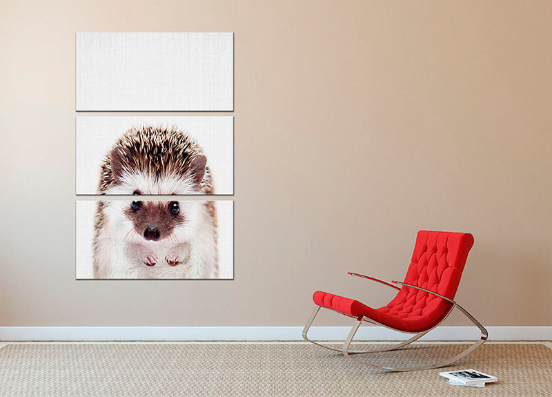 Peekaboo Hedgehog 3 Split Panel Canvas Print - 1x - 2