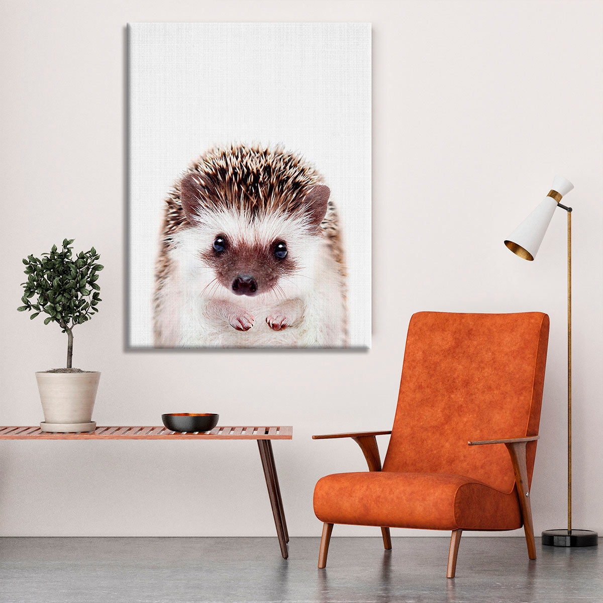 Peekaboo Hedgehog Canvas Print or Poster - 1x - 6