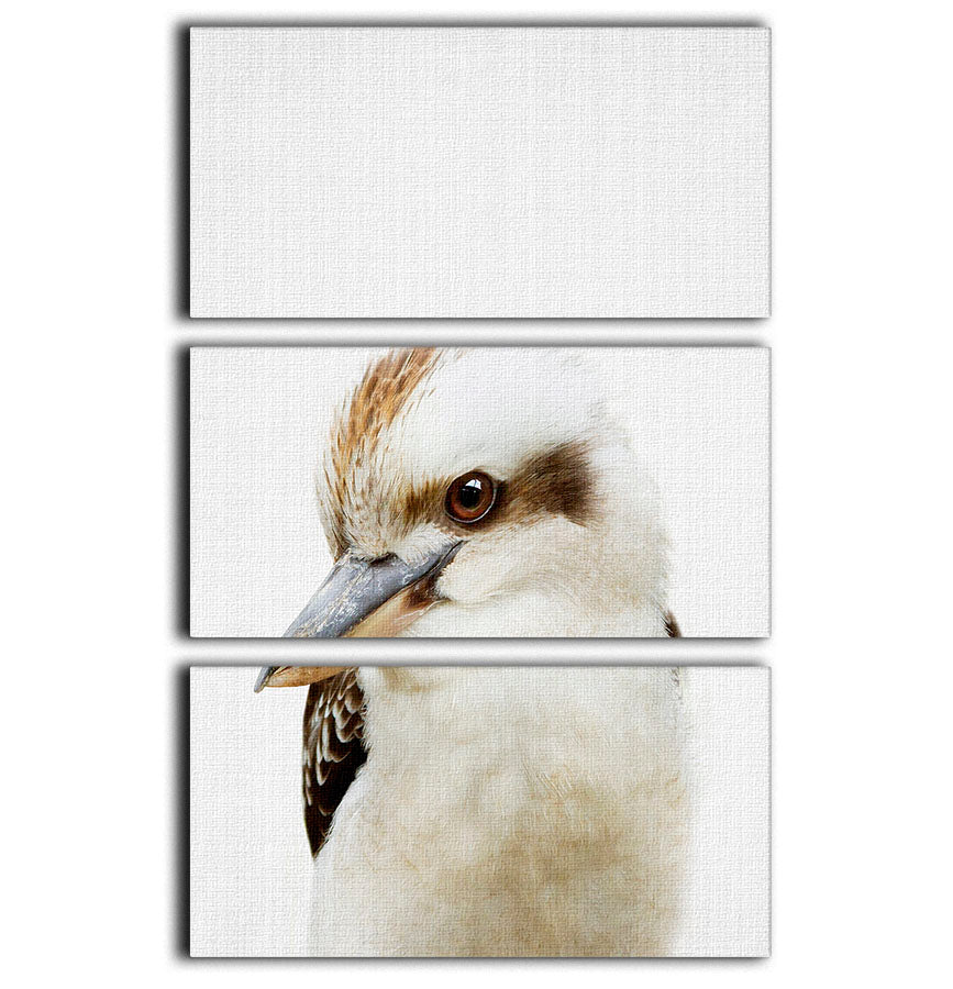 Peekaboo Kookaburra 3 Split Panel Canvas Print - 1x - 1