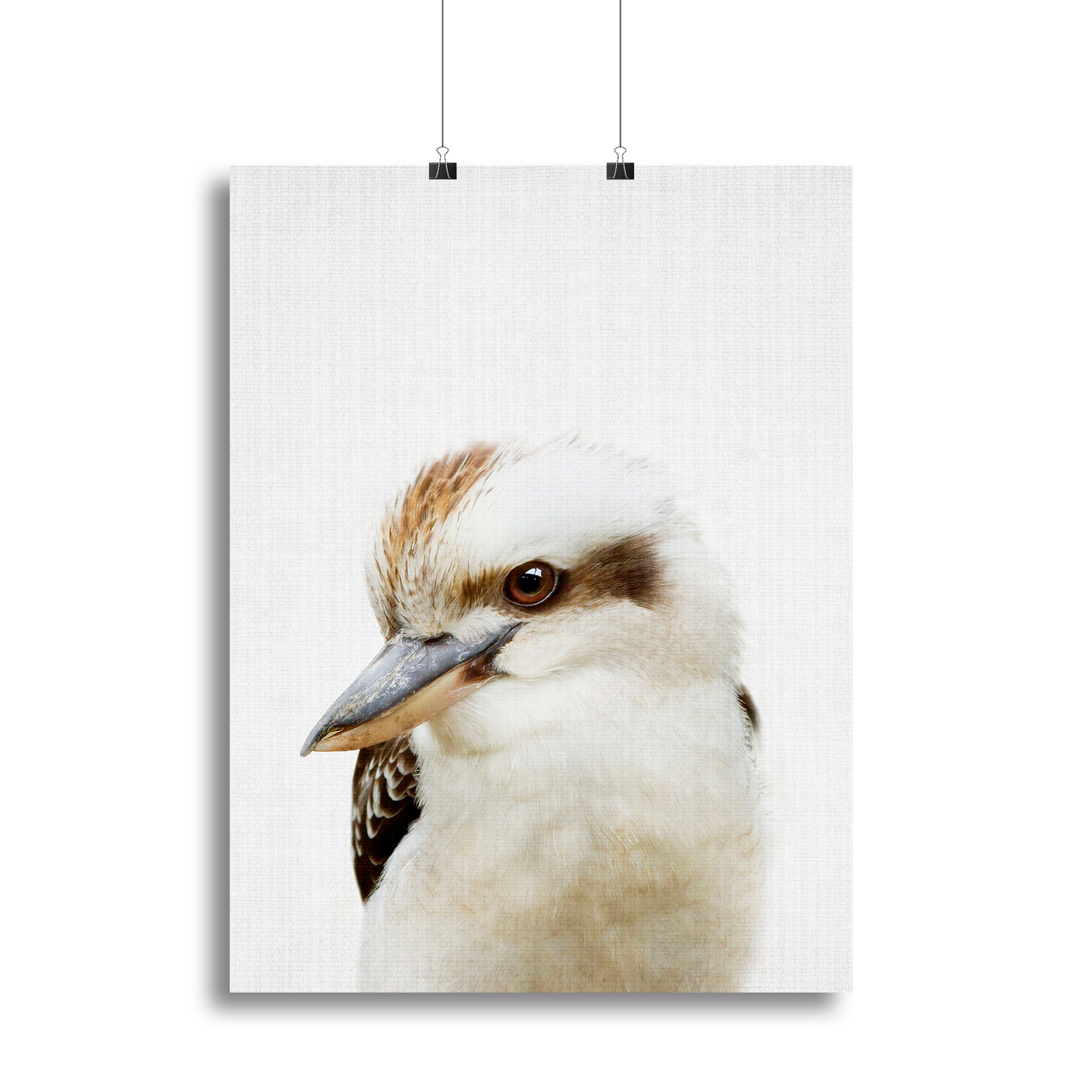 Peekaboo Kookaburra Canvas Print or Poster - 1x - 2