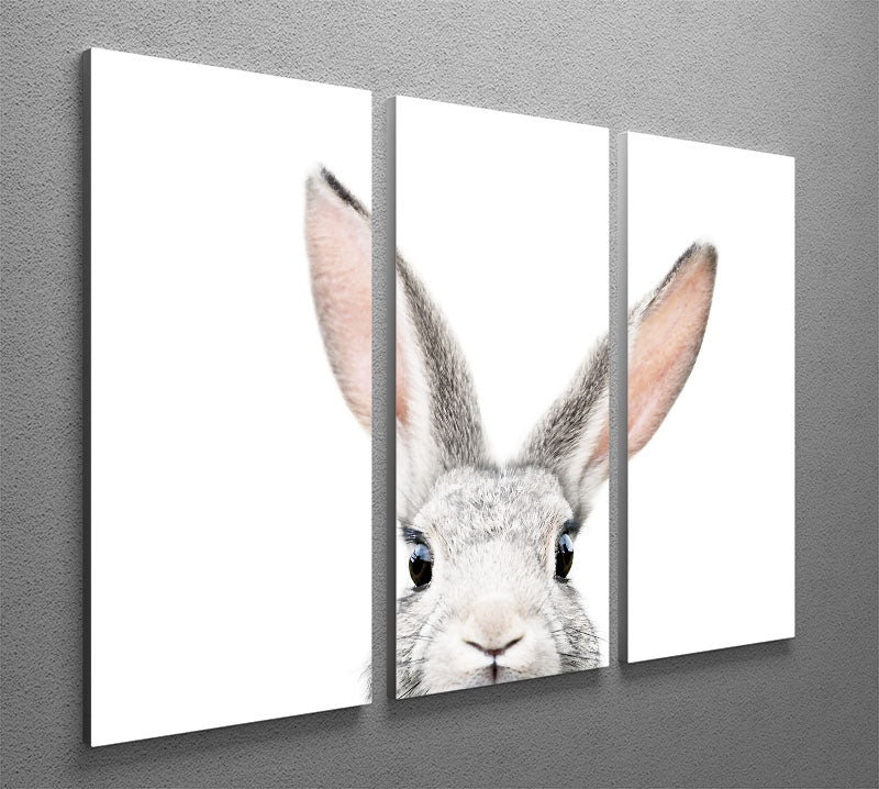 Peeking Bunny 3 Split Panel Canvas Print - 1x - 2