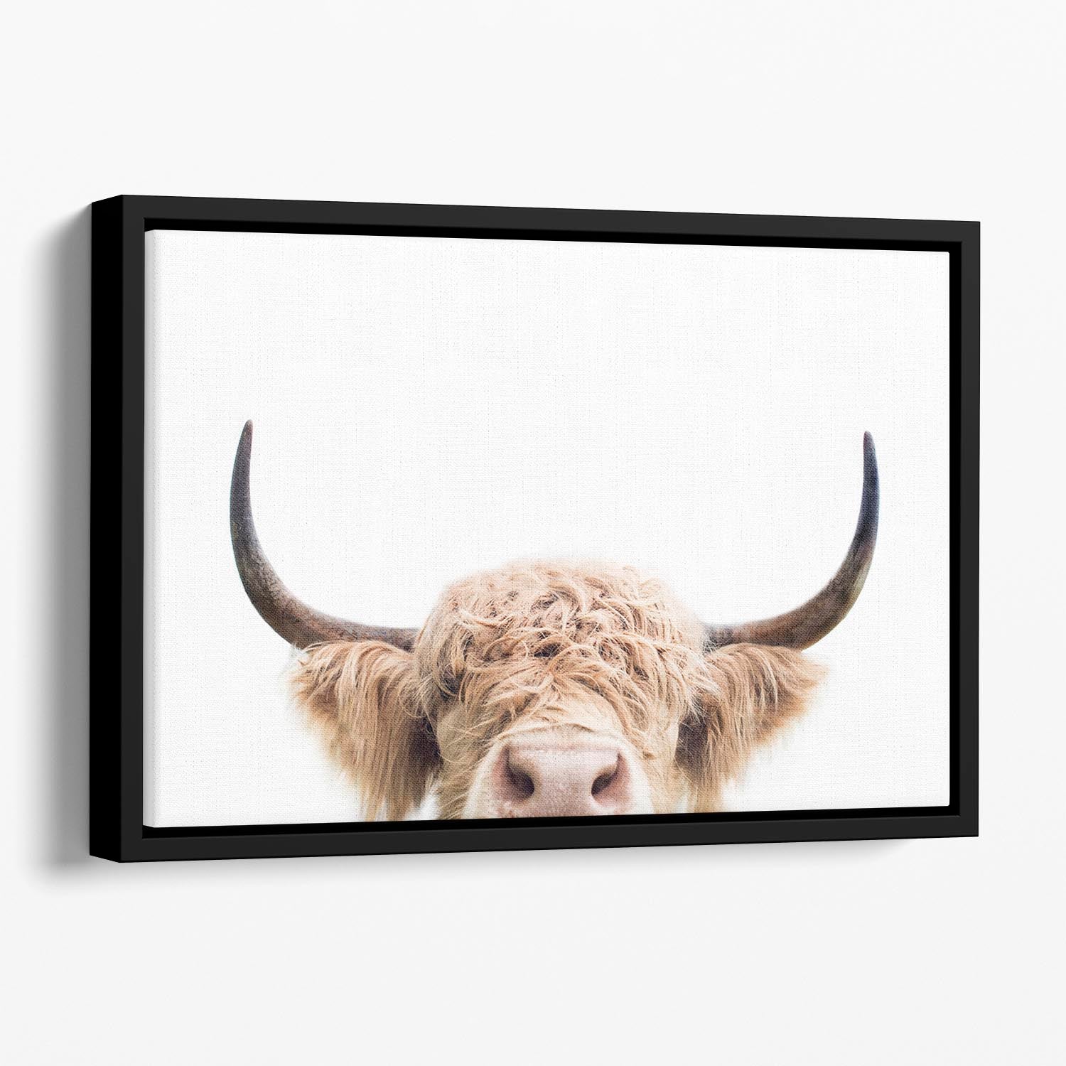 Peeking Cow Floating Framed Canvas - 1x - 1