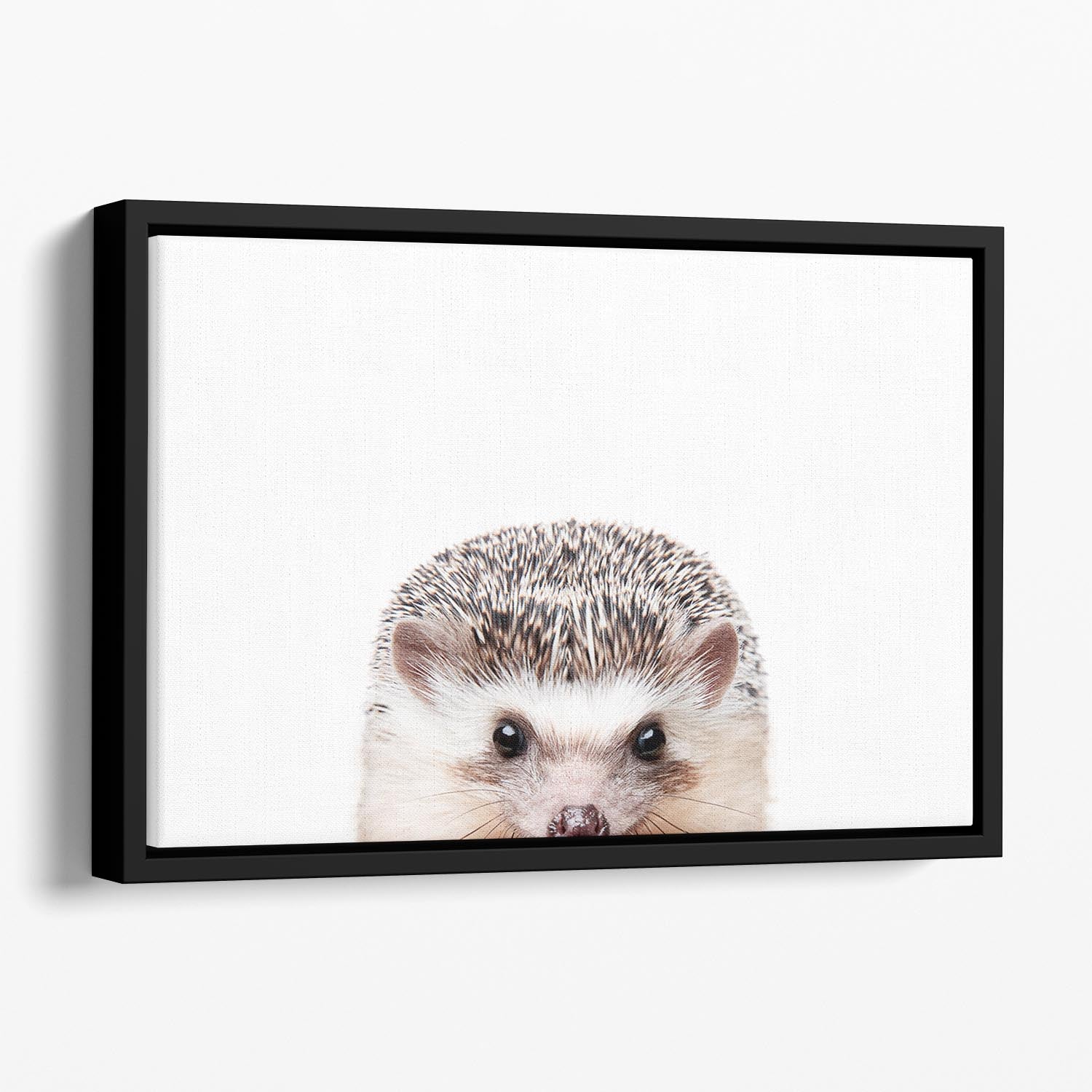 Peeking Hedgehog Floating Framed Canvas - 1x - 1