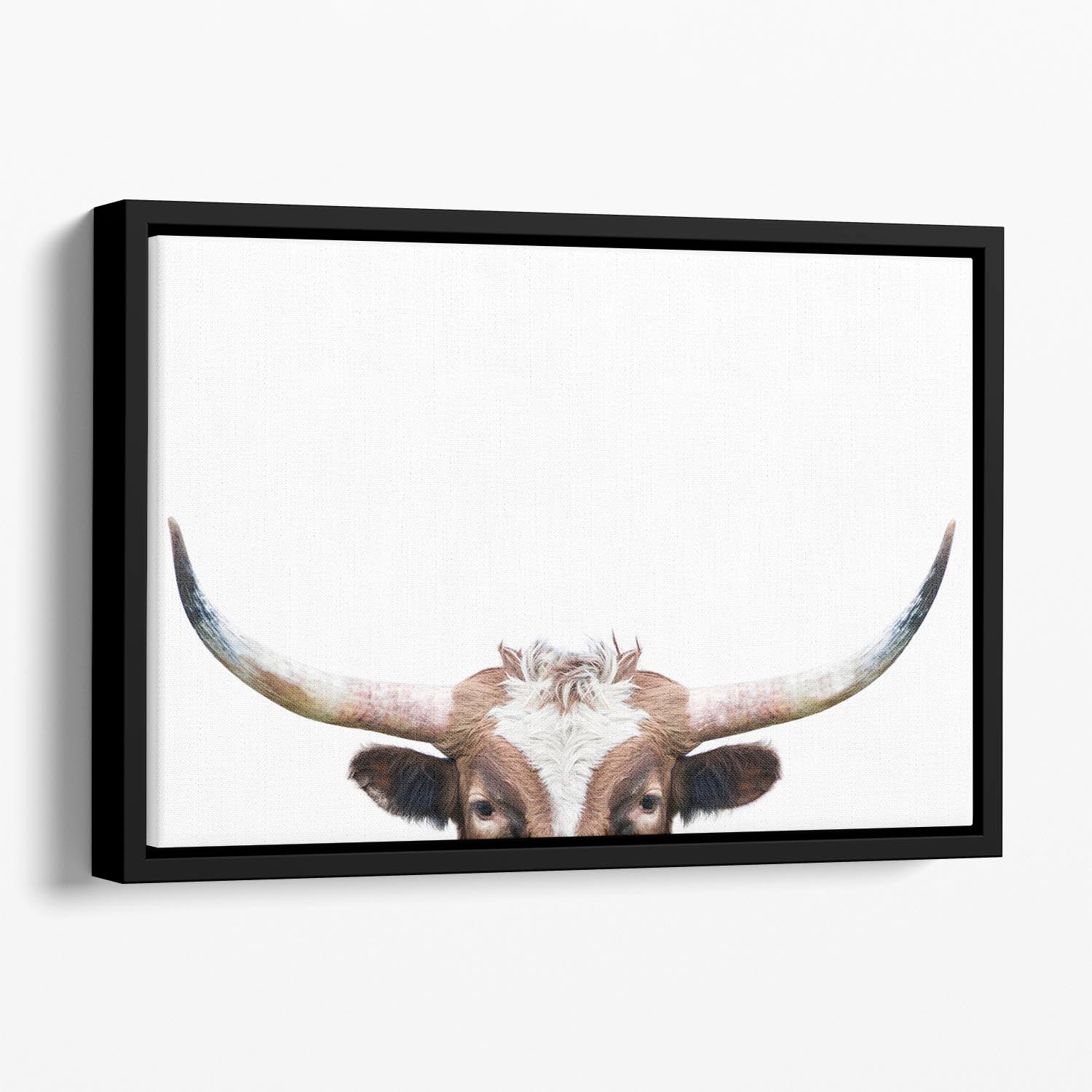 Peeking Longhorn Cow Floating Framed Canvas - 1x - 1