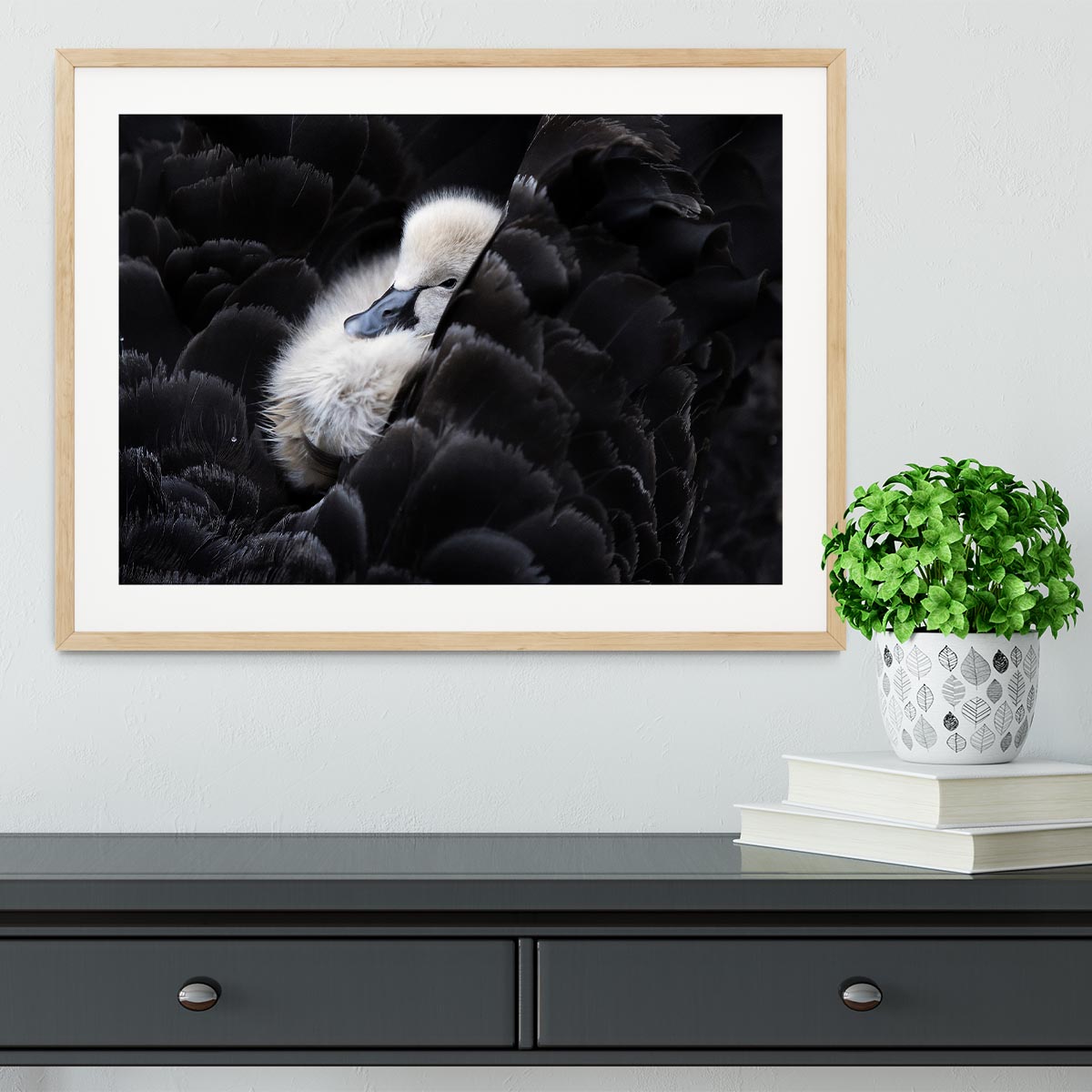 Pickaback Framed Print - 1x - 3