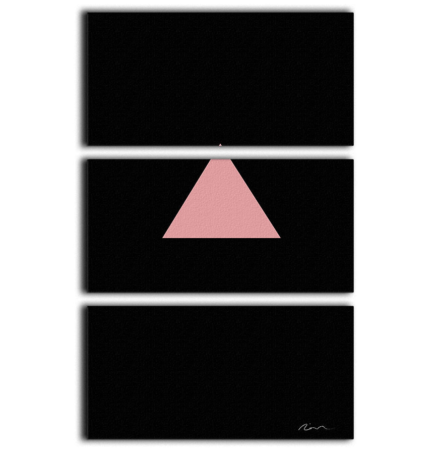 Pink Triangle 3 Split Panel Canvas Print - 1x - 1