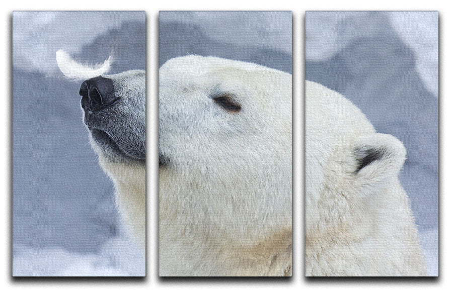 Polar bear White 3 Split Panel Canvas Print - 1x - 1