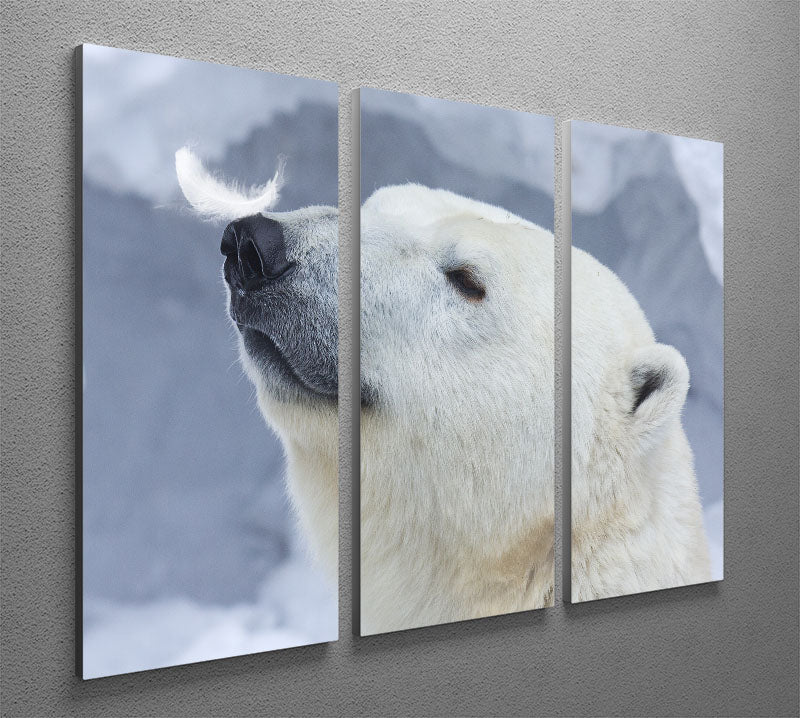 Polar bear White 3 Split Panel Canvas Print - 1x - 2