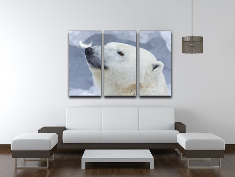 Polar bear White 3 Split Panel Canvas Print - 1x - 3