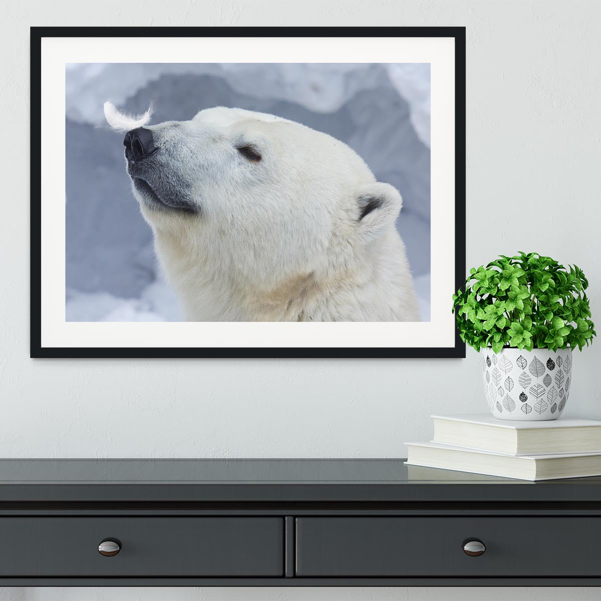 Polar bear White Framed Print - 1x - 1