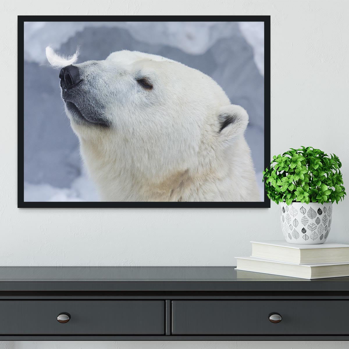 Polar bear White Framed Print - 1x - 2