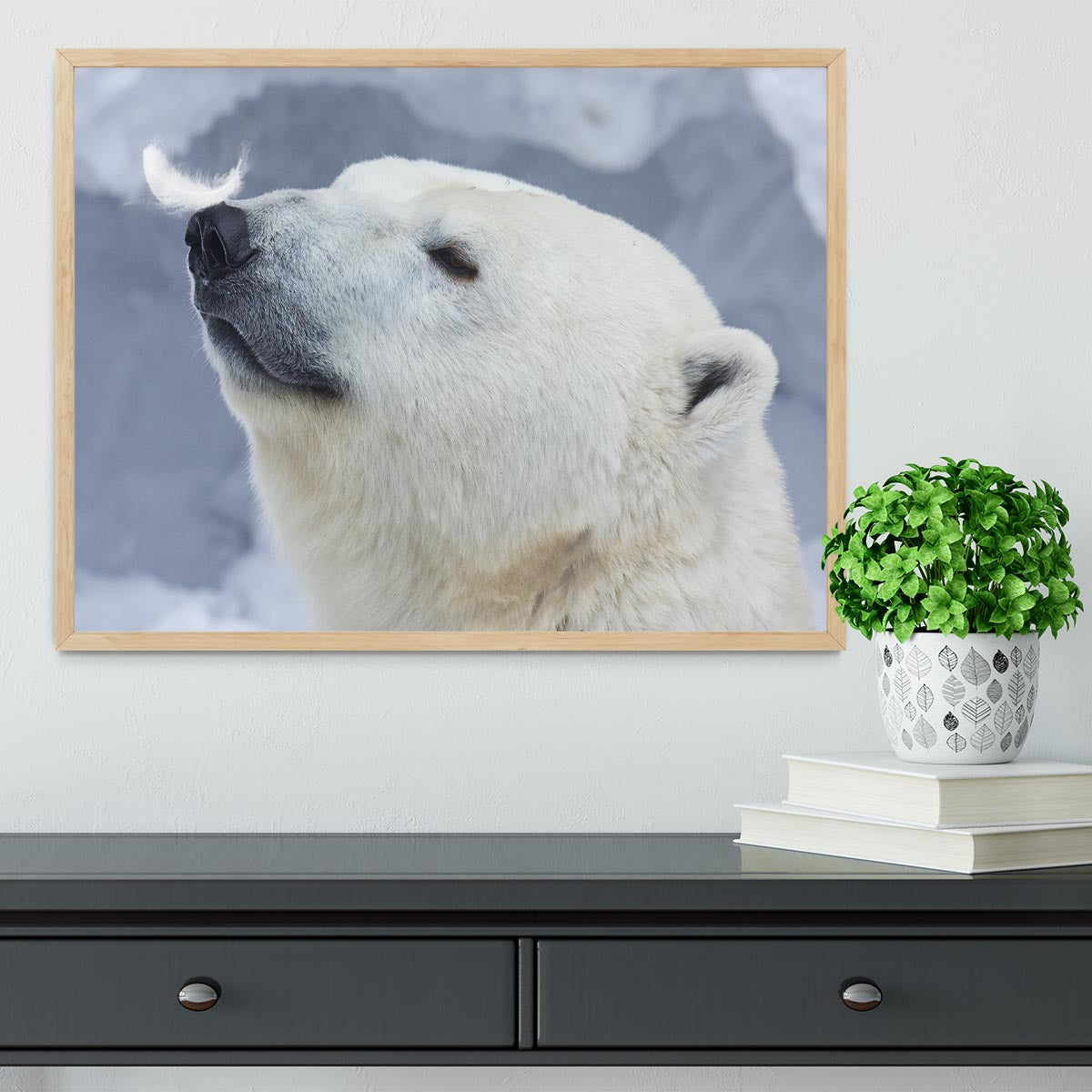 Polar bear White Framed Print - 1x - 4