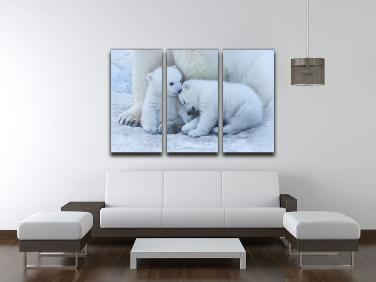 Polar bear cub 3 Split Panel Canvas Print - 1x - 3