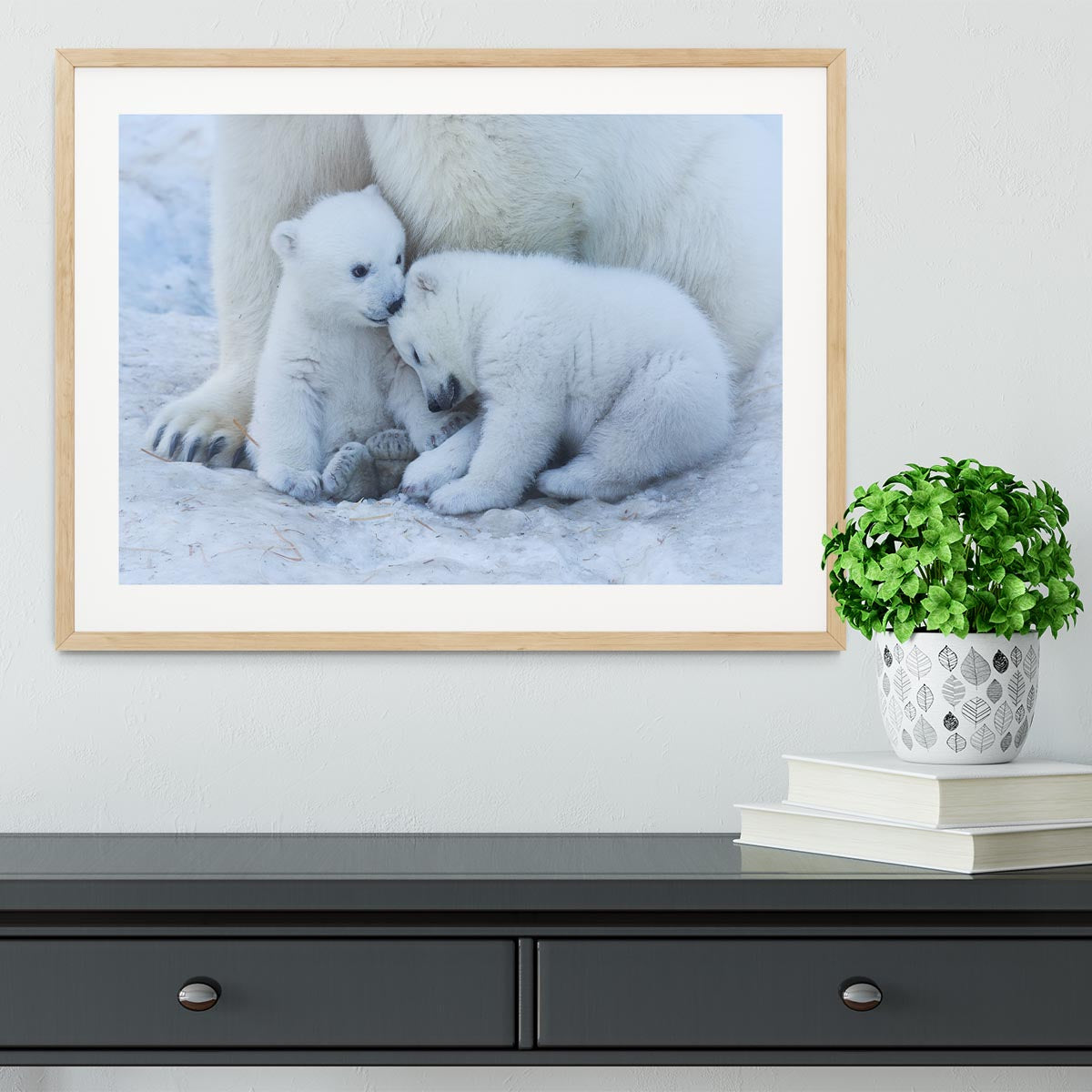 Polar bear cub Framed Print - 1x - 3