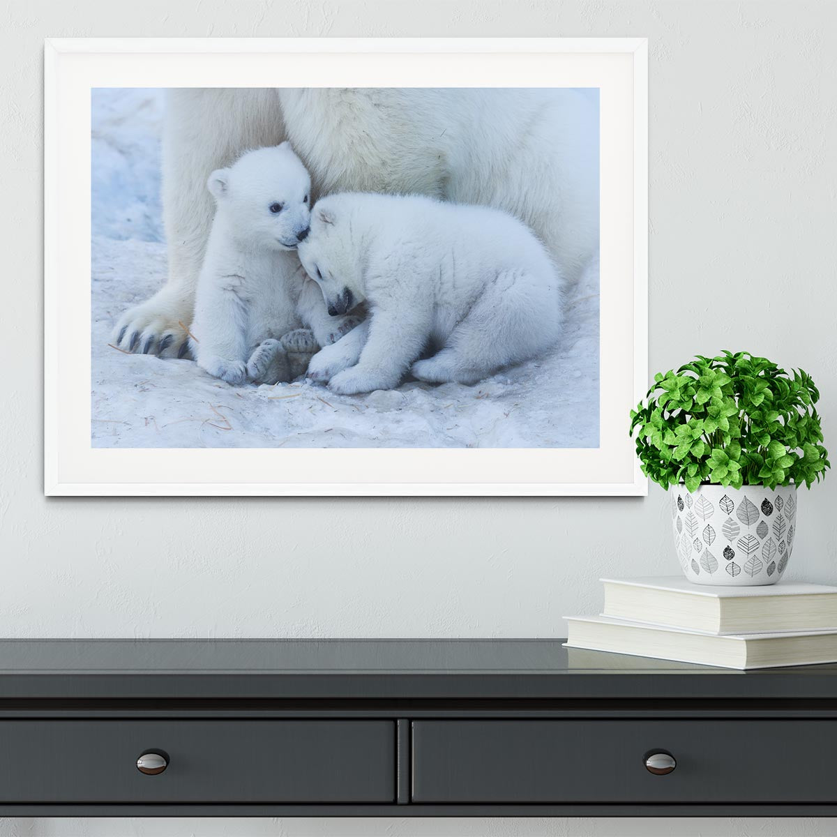 Polar bear cub Framed Print - 1x - 5