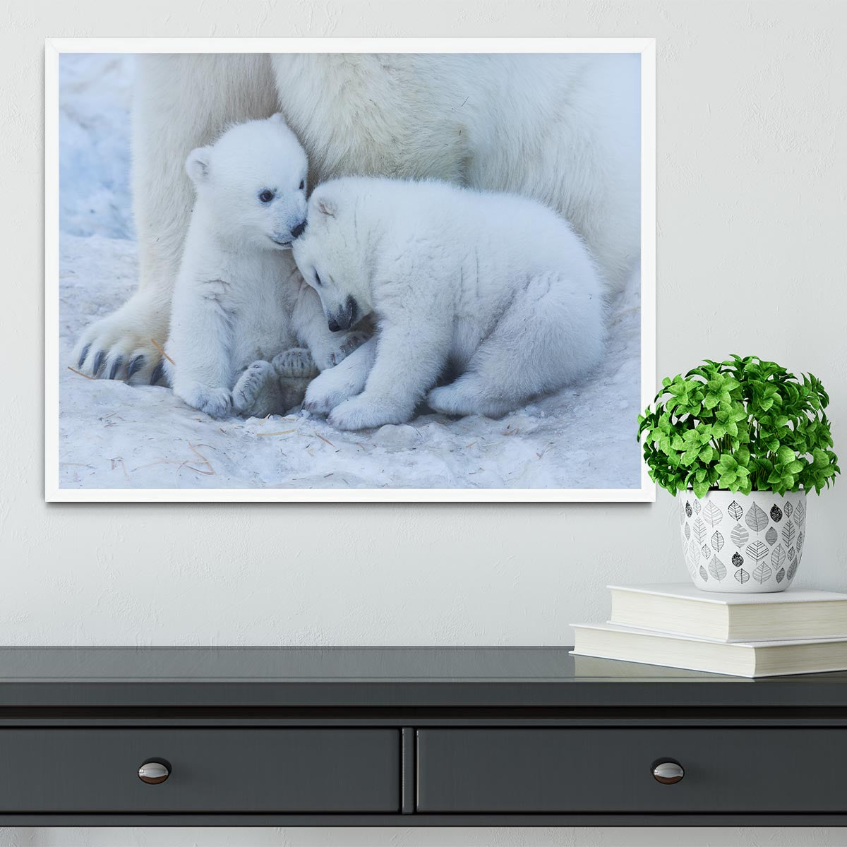 Polar bear cub Framed Print - 1x -6