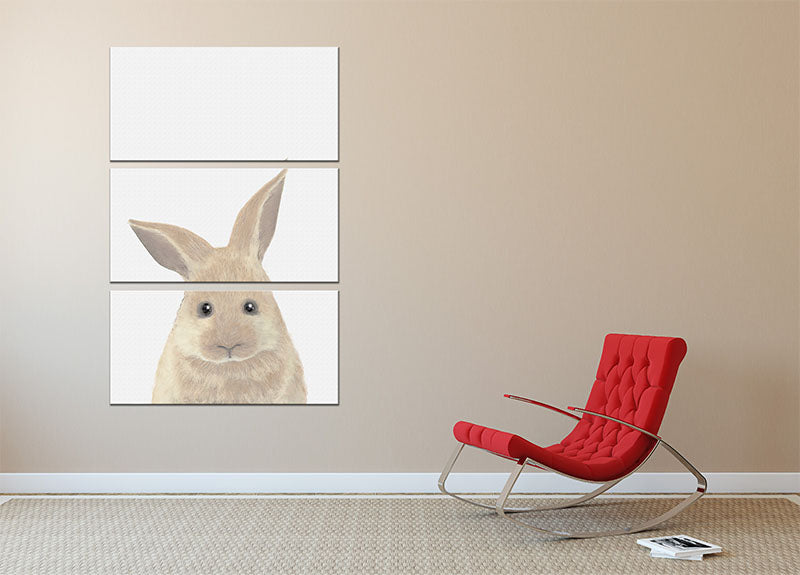 Rabbit 3 Split Panel Canvas Print - 1x - 2