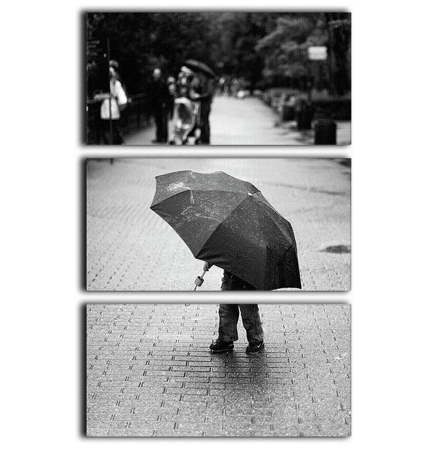 Rainy day 3 Split Panel Canvas Print - 1x - 1