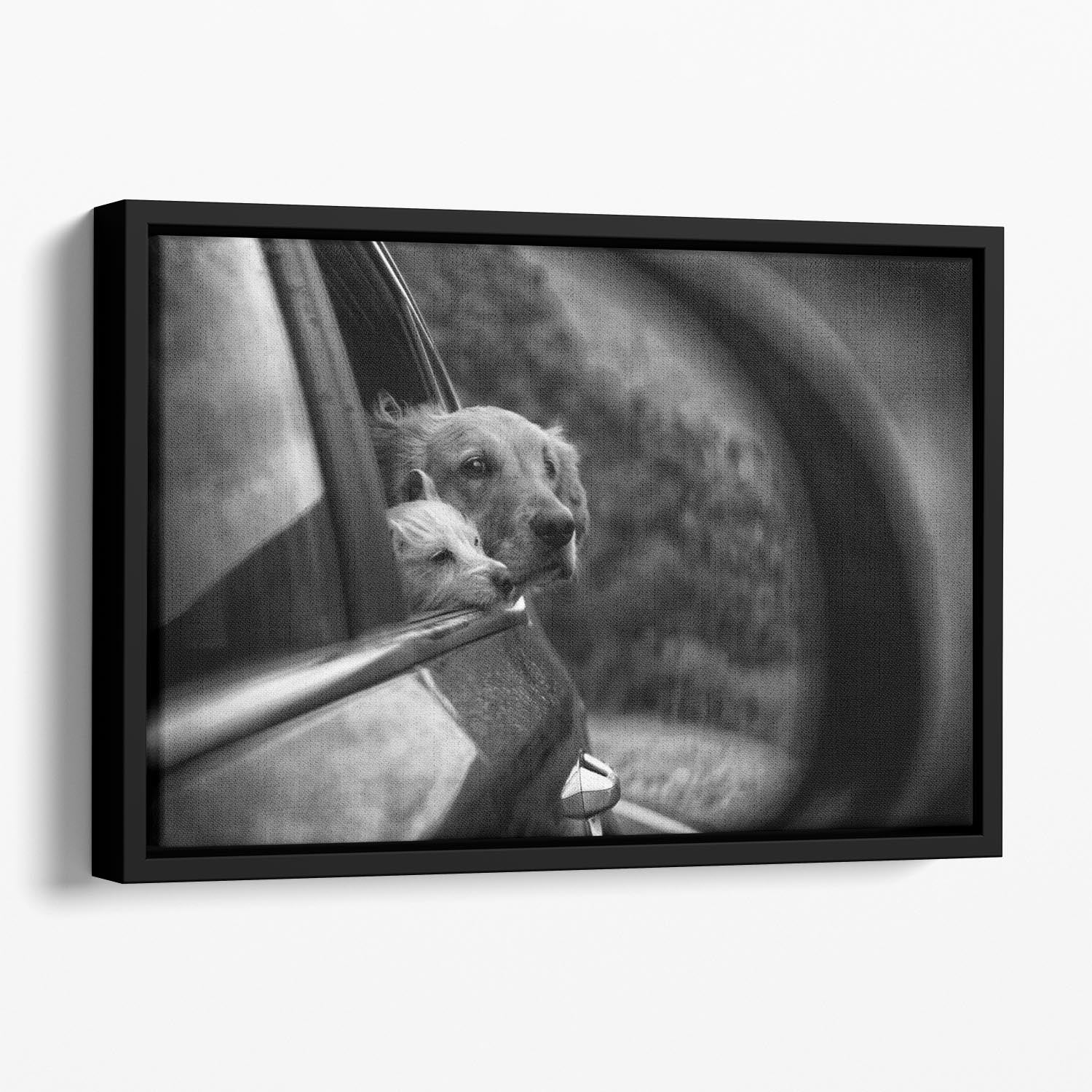 Roadtrip Floating Framed Canvas - 1x - 1