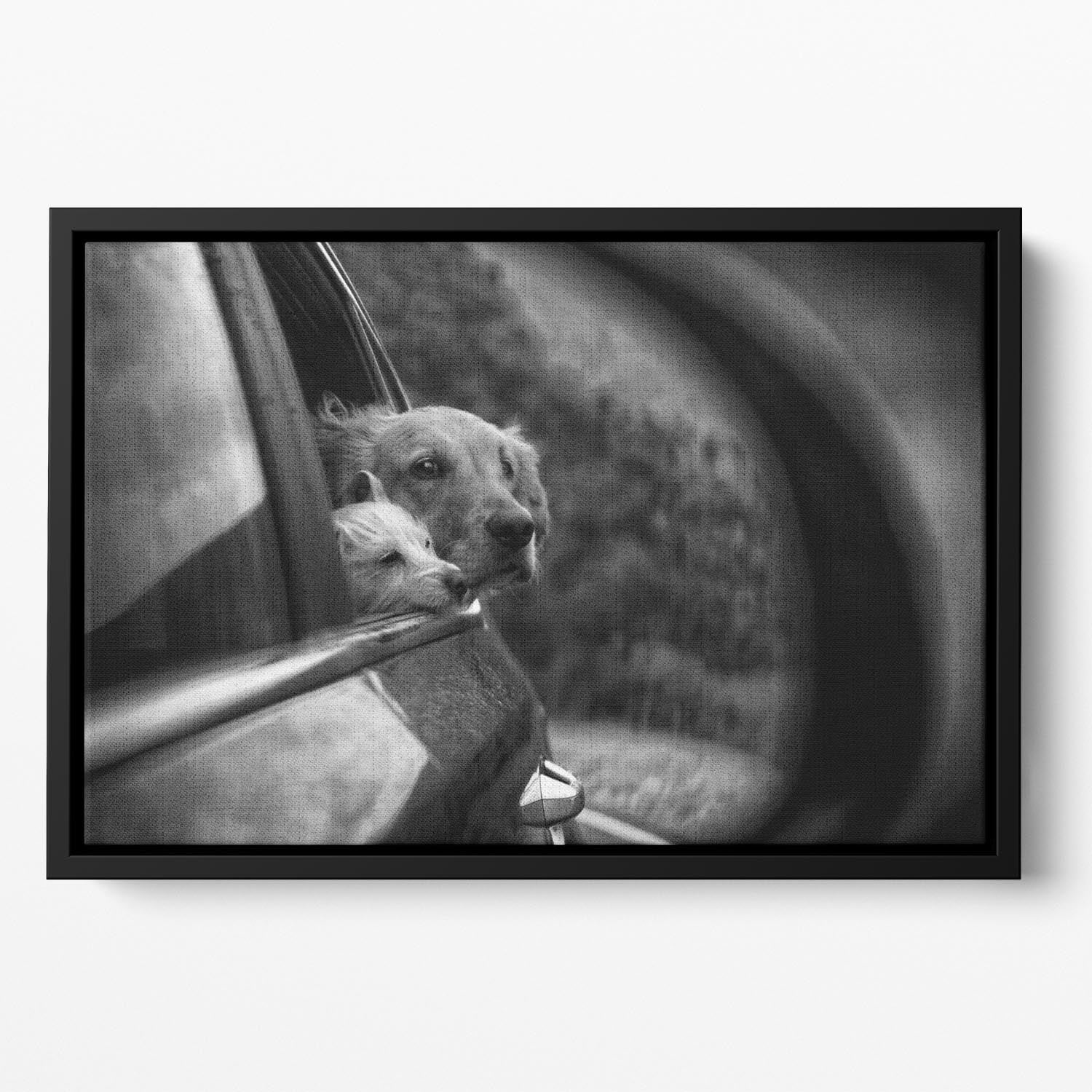 Roadtrip Floating Framed Canvas - 1x - 2