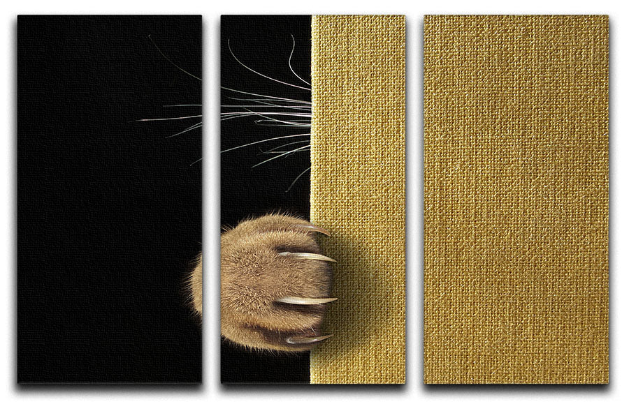 Shy cat 3 Split Panel Canvas Print - 1x - 1