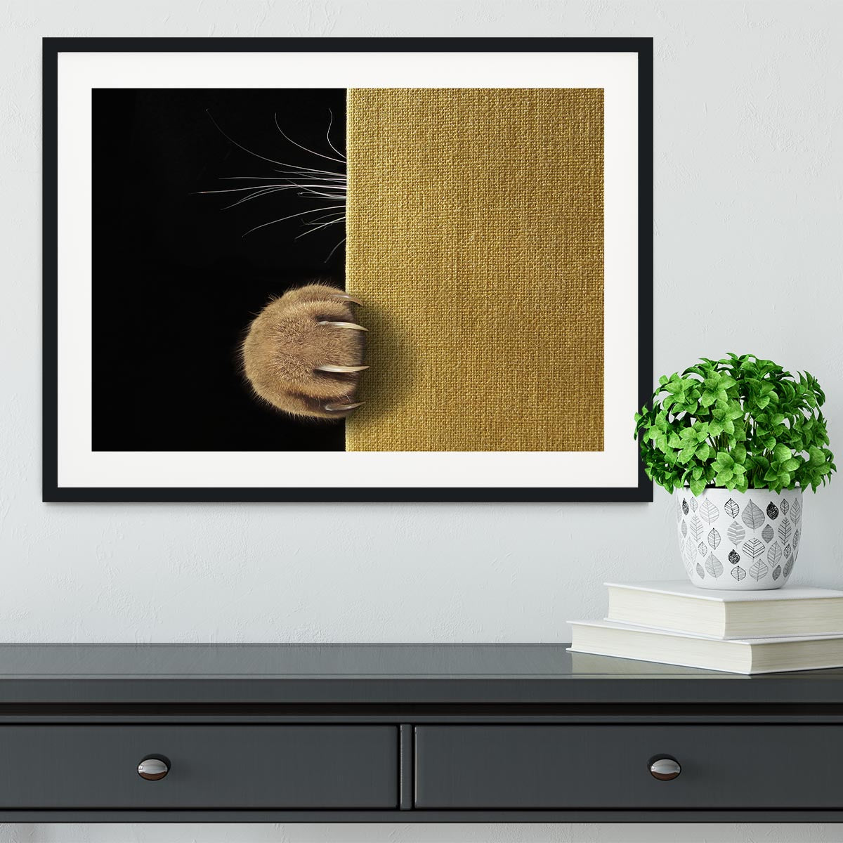 Shy cat Framed Print - 1x - 1