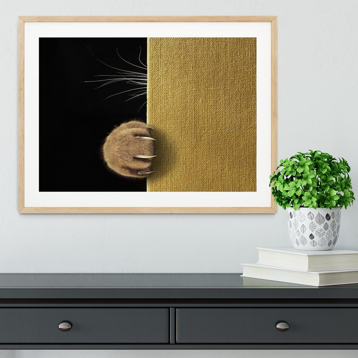 Shy cat Framed Print - 1x - 3