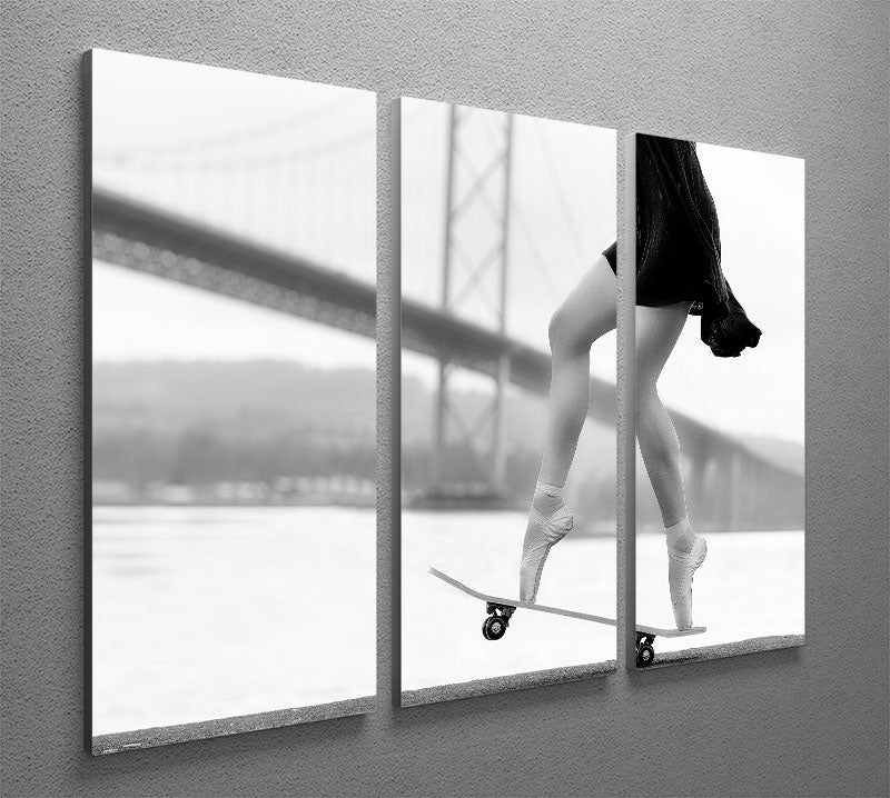 Skater Girl 3 Split Panel Canvas Print - 1x - 2