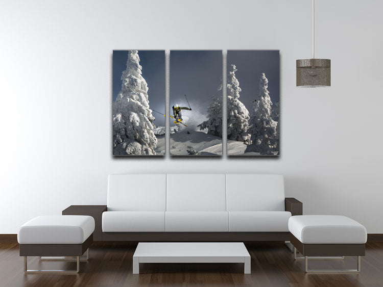 Ski is life 3 Split Panel Canvas Print - 1x - 3