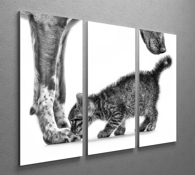 Smell me 3 Split Panel Canvas Print - 1x - 2