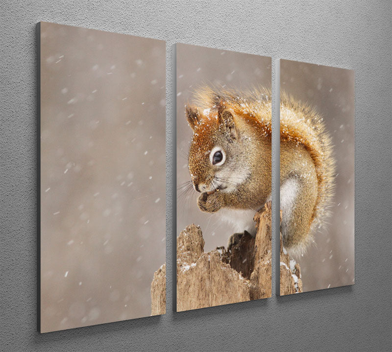 Snow Storm 3 Split Panel Canvas Print - 1x - 2