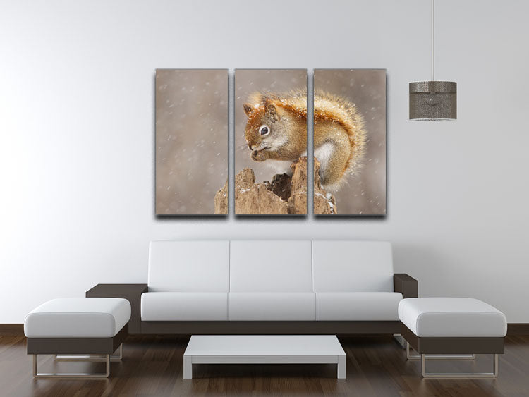 Snow Storm 3 Split Panel Canvas Print - 1x - 3