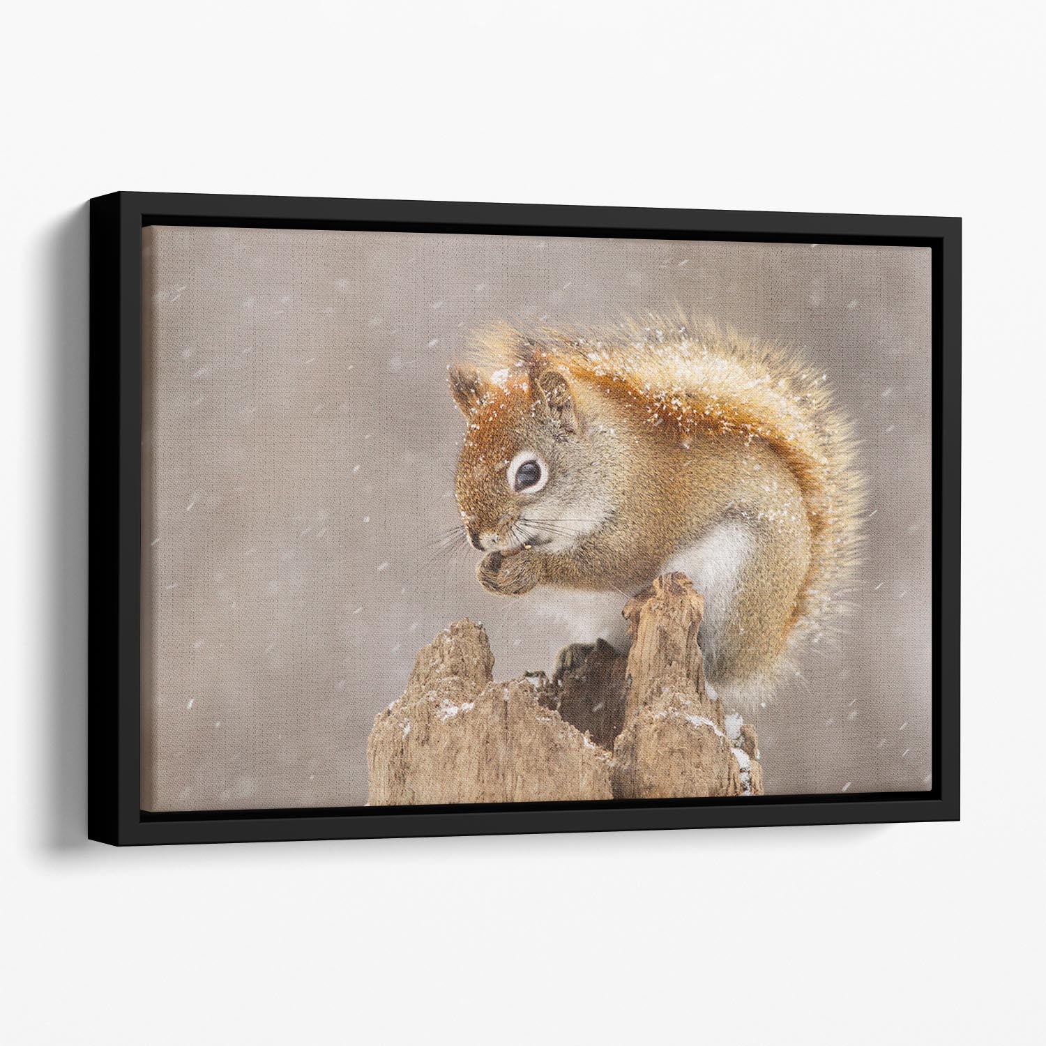 Snow Storm Floating Framed Canvas - 1x - 1