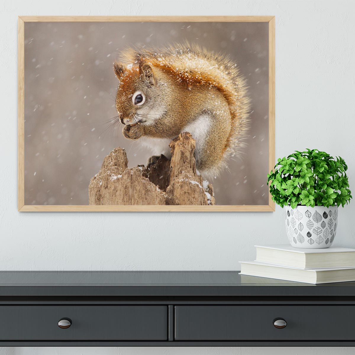 Snow Storm Framed Print - 1x - 4