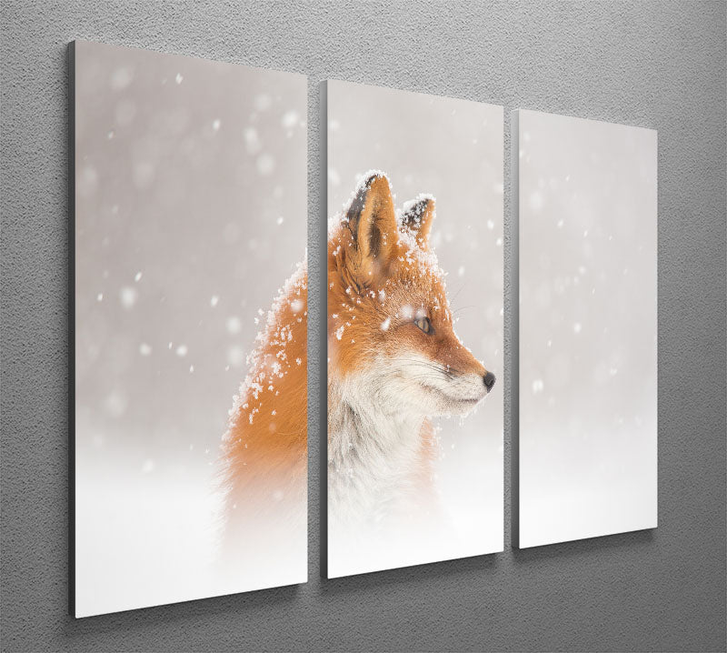 Snow is falling 3 Split Panel Canvas Print - 1x - 2