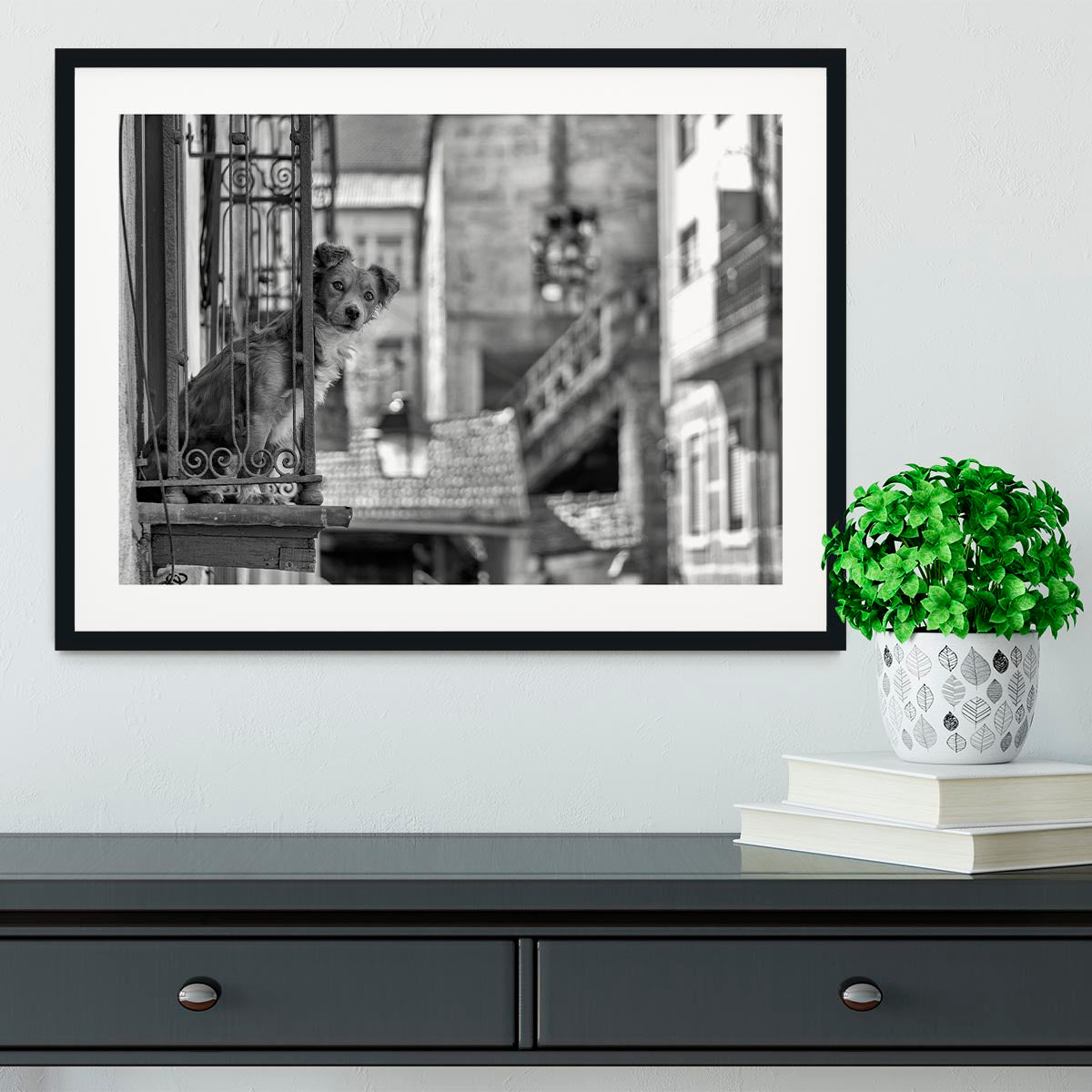 Street Dog Framed Print - 1x - 1