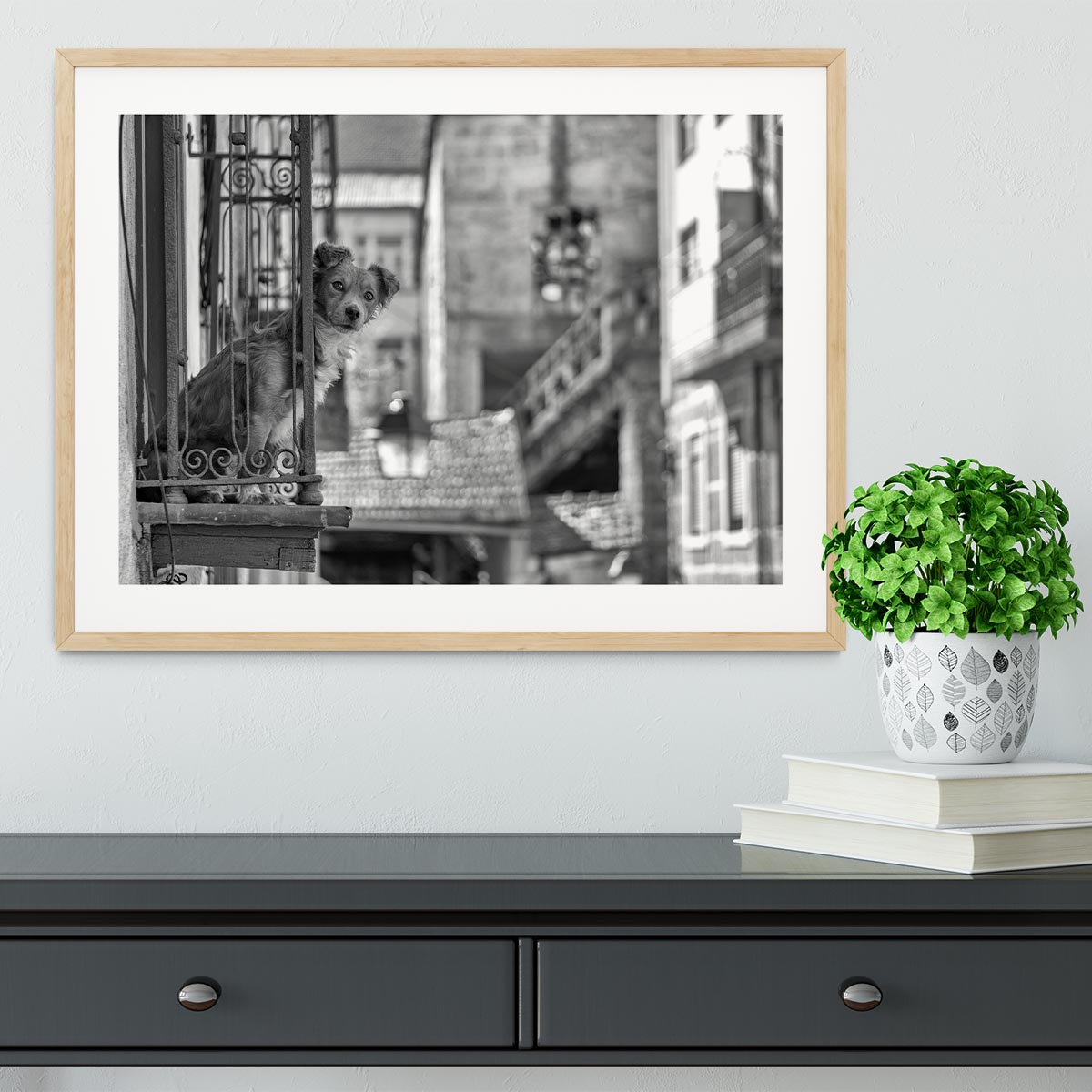 Street Dog Framed Print - 1x - 3