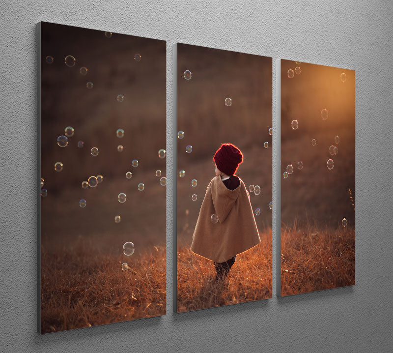 Symphony 3 Split Panel Canvas Print - 1x - 2