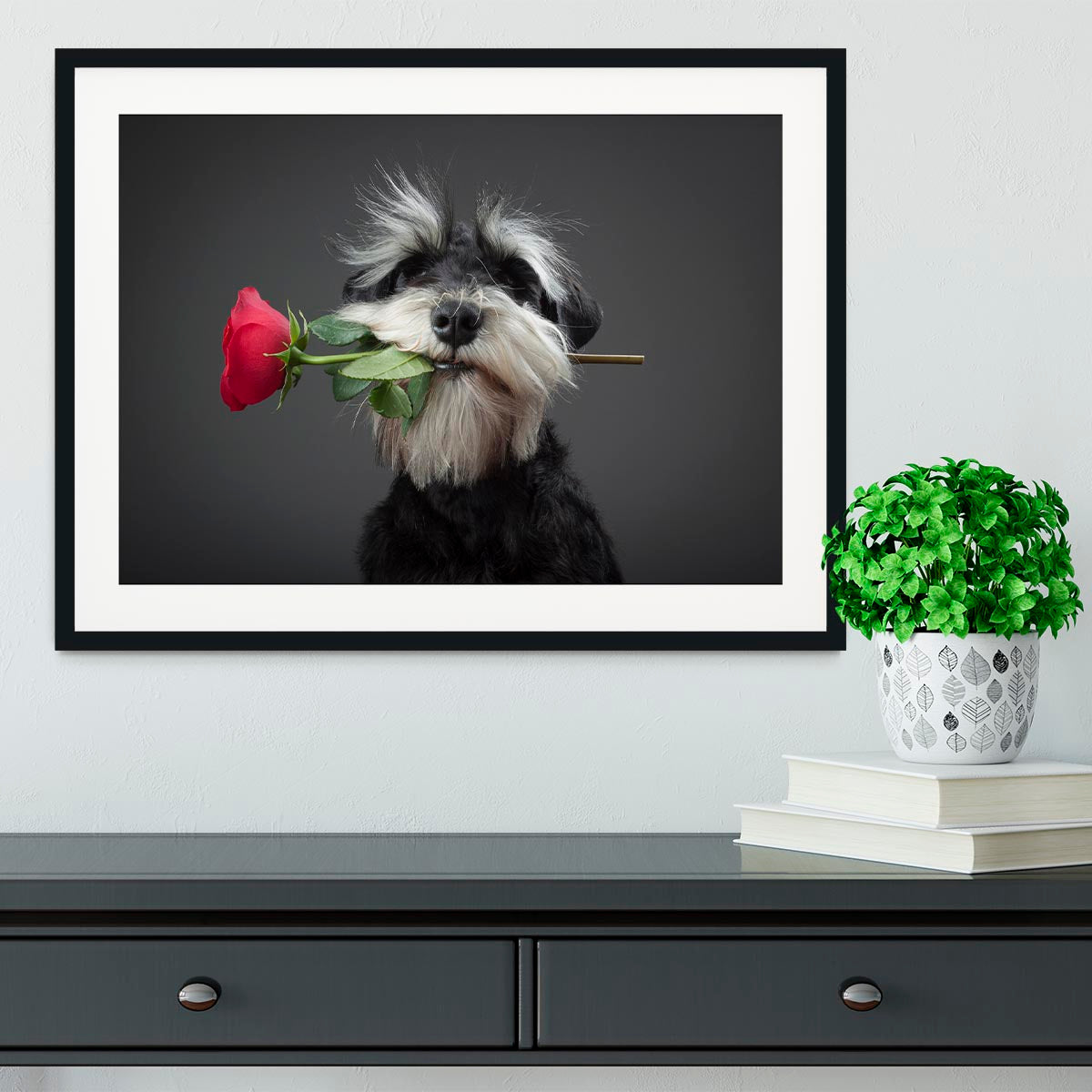 Tango Dancer Framed Print - 1x - 1