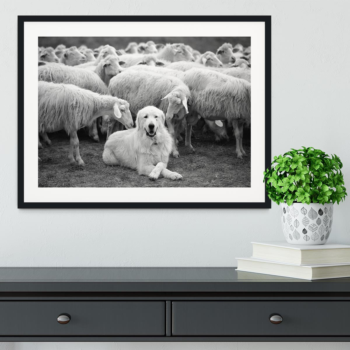 The Boss Framed Print - 1x - 1