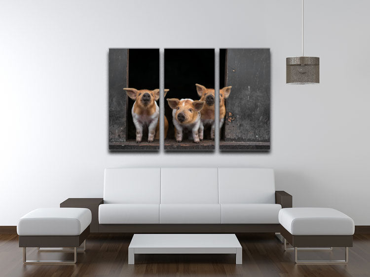 Three Piggies 3 Split Panel Canvas Print - 1x - 3