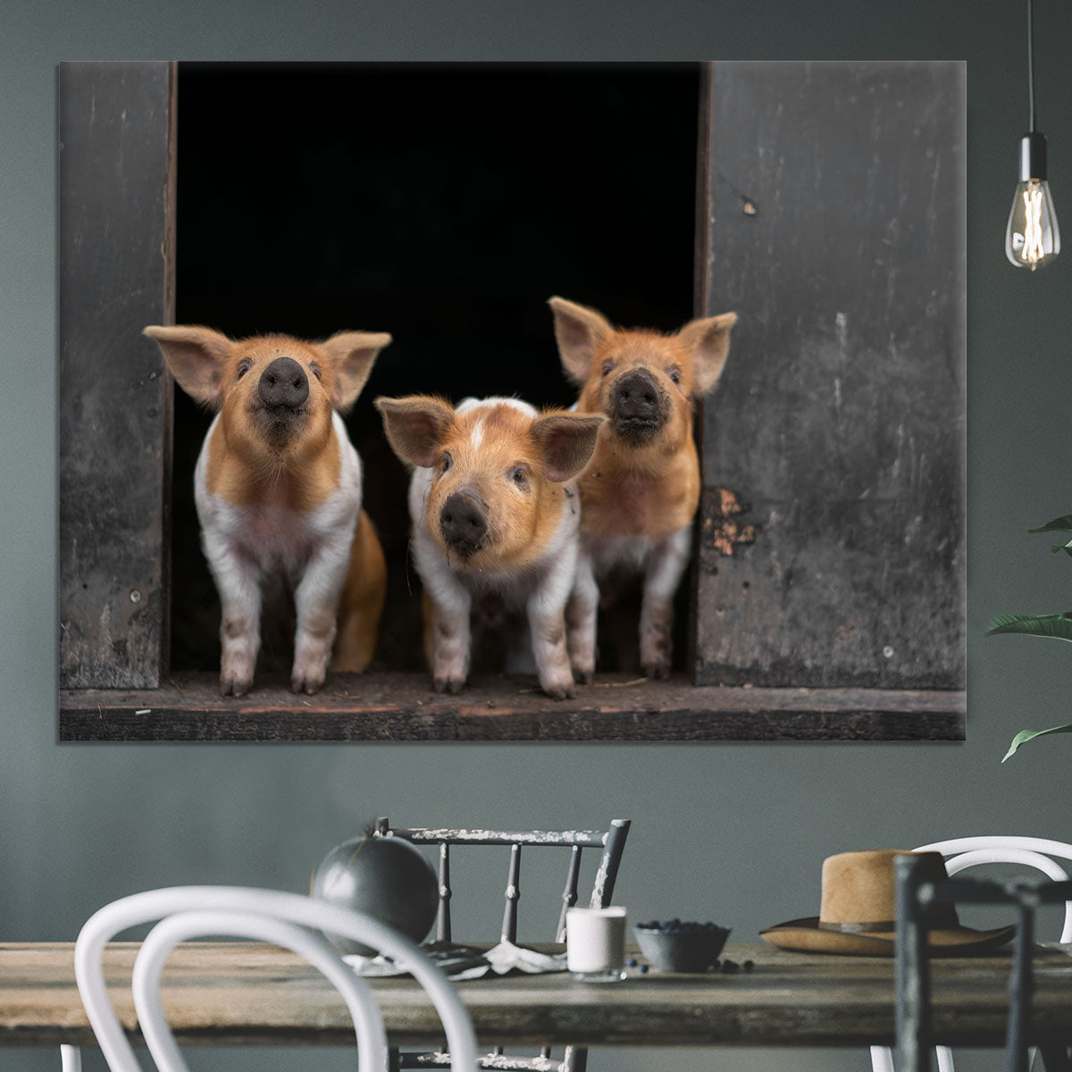 Three Piggies Canvas Print or Poster - 1x - 3