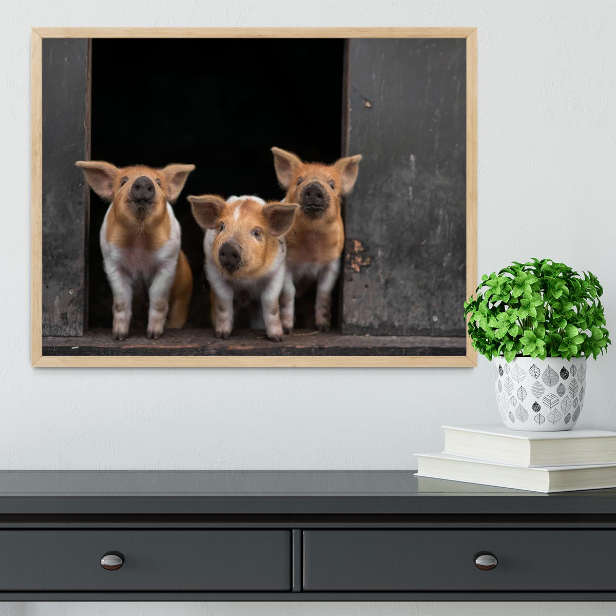 Three Piggies Framed Print - 1x - 4